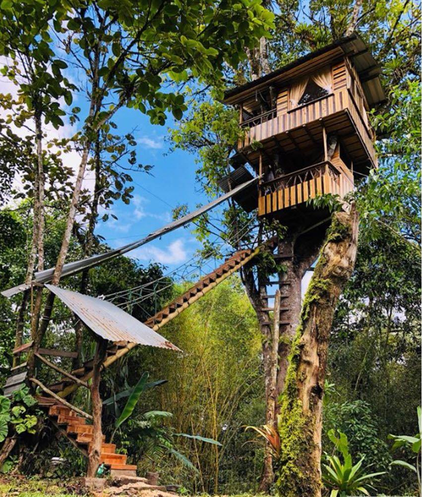 Varios El Edén Treehouse
