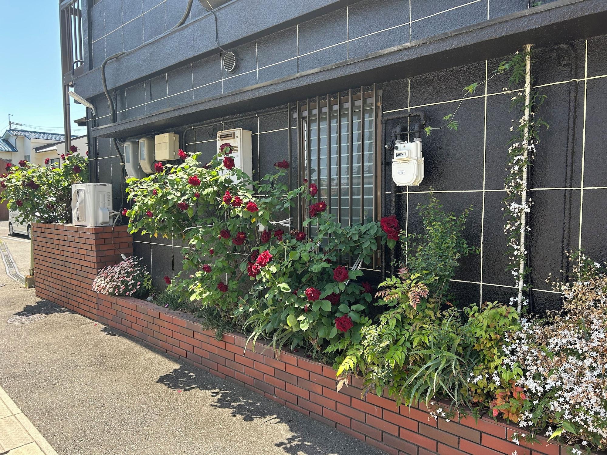 Vista Exterior Mimatsuso