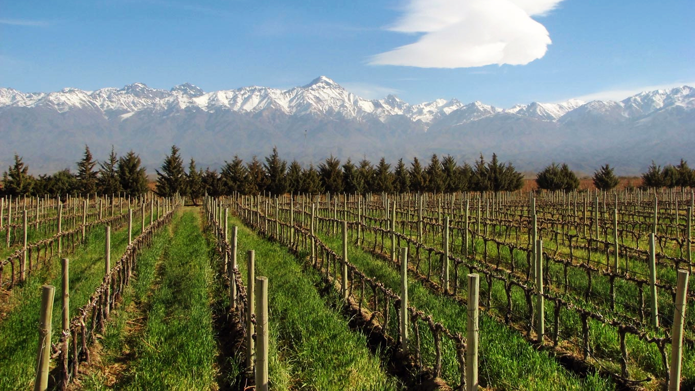 Mendoza