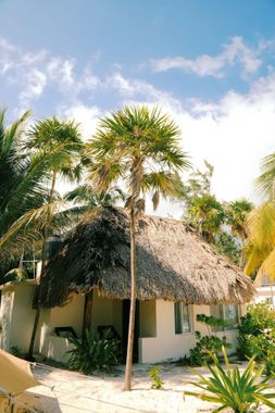 Hotel Cielo y Selva - Hoteles en Punta Allen, México: todo incluido, baratos y ofertas