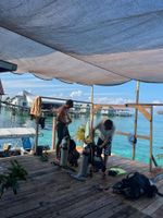 Alojamiento - Scuba Buddy Mabul