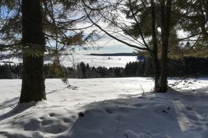 Arriendo temporal - Small and Cozy Apartment in Frauenwald near Forest