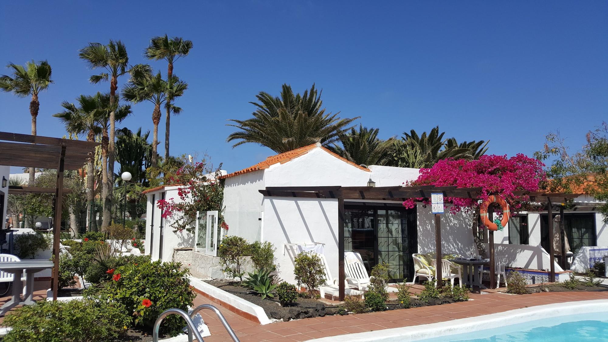 Comodidades del Alojamiento La Concha del Mar Apartments