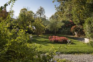 Alojamiento - Al Porto di Lucca B&B