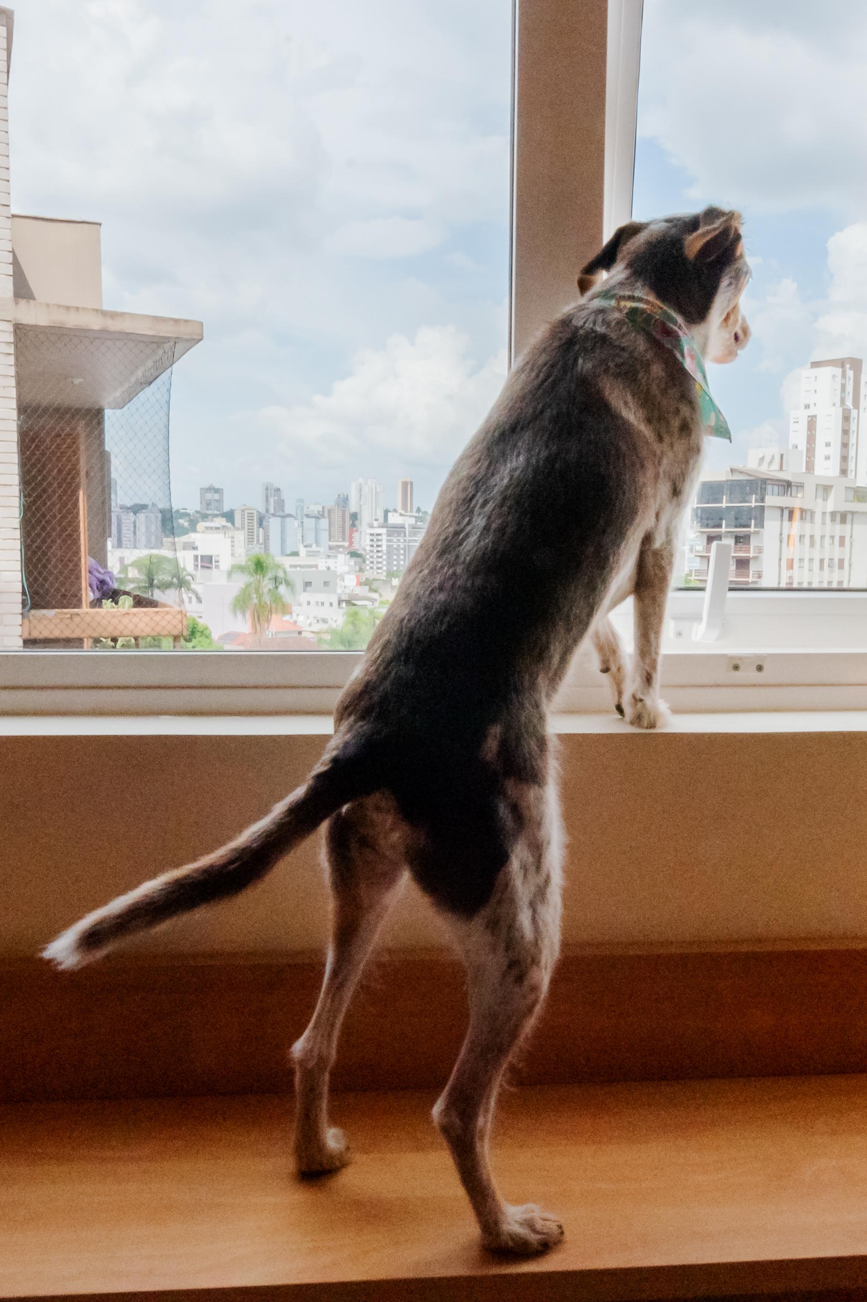 Habitación Ibis Novo Hamburgo