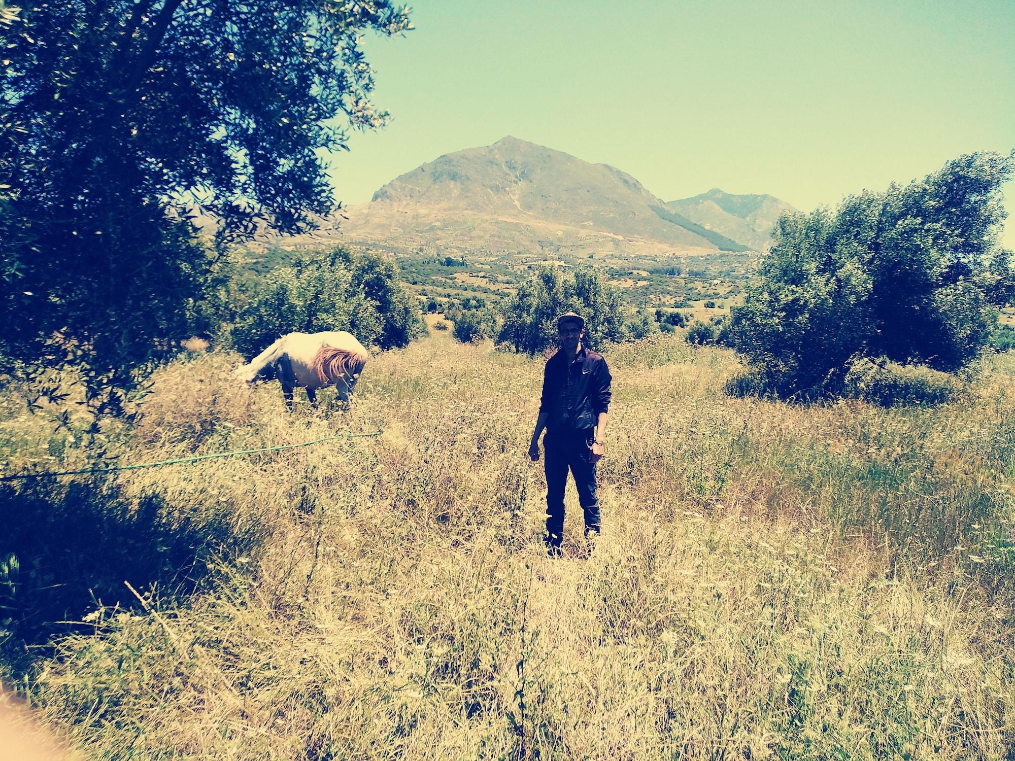 Equipamiento de Habitación Farm stay Ali - Hostel