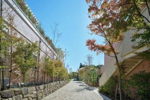 Alojamiento - adventure lodge yatimatakoyaruzawa