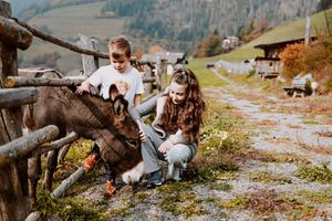 Alojamiento - Hotel Bergschlössl