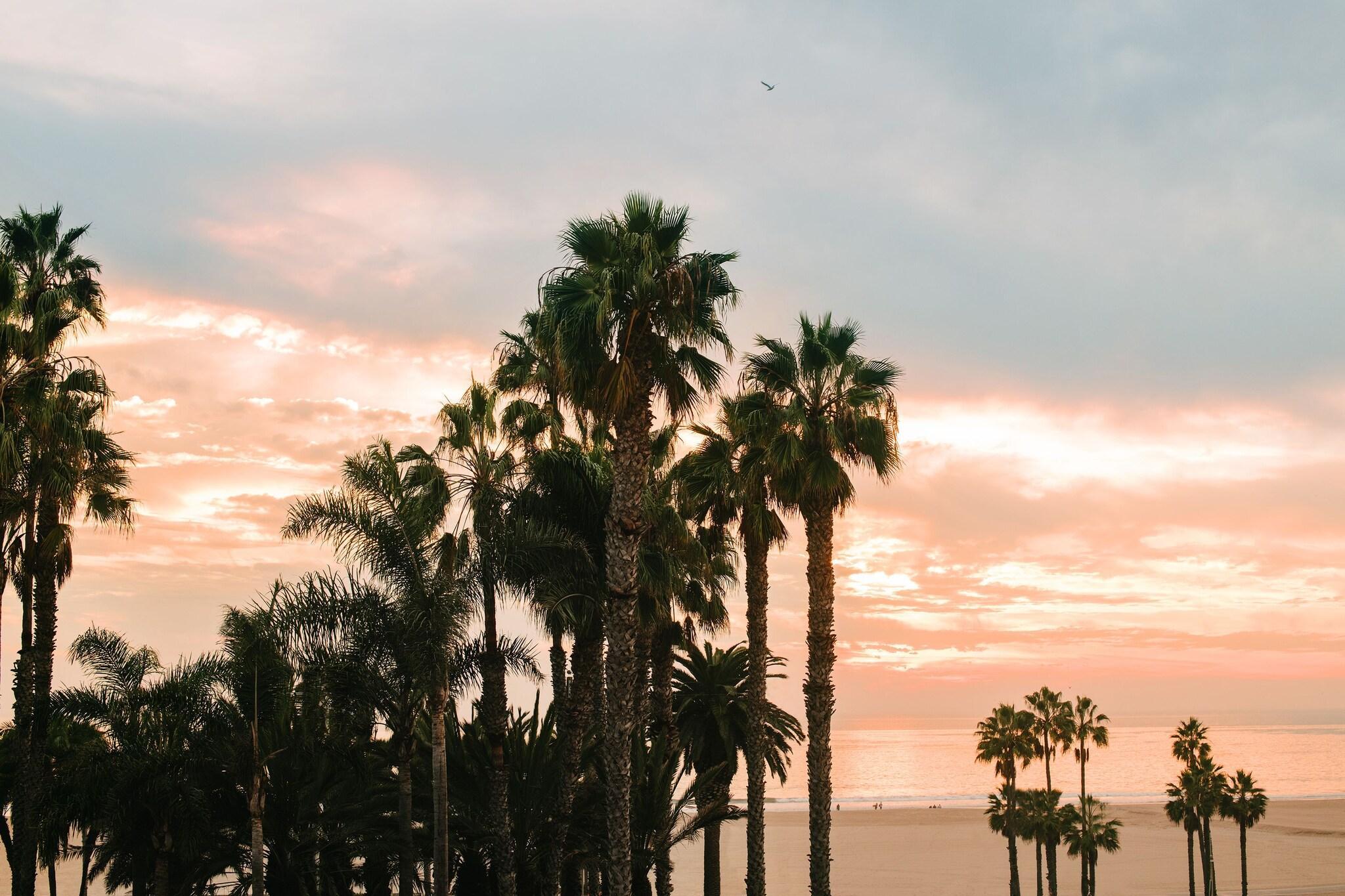 Vista Exterior Bayside Hotel