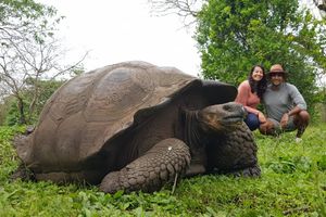 Actividad - LT-Galápagos en 6 días: Volcanes y Vida Silvestre