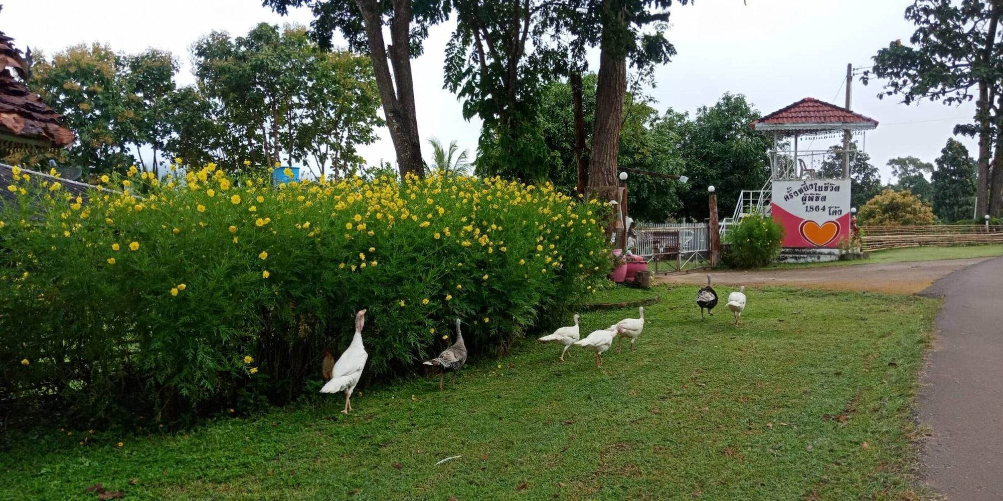 Vista Exterior Phuchandang Resort