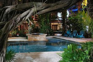 Hotel - Eco-Hotel El Rey del Caribe