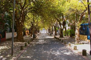 Alojamiento - Dolce Lobo Boutique Stay