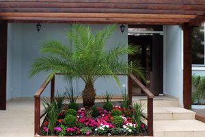 Hospedagens - Hotel Cajueiro