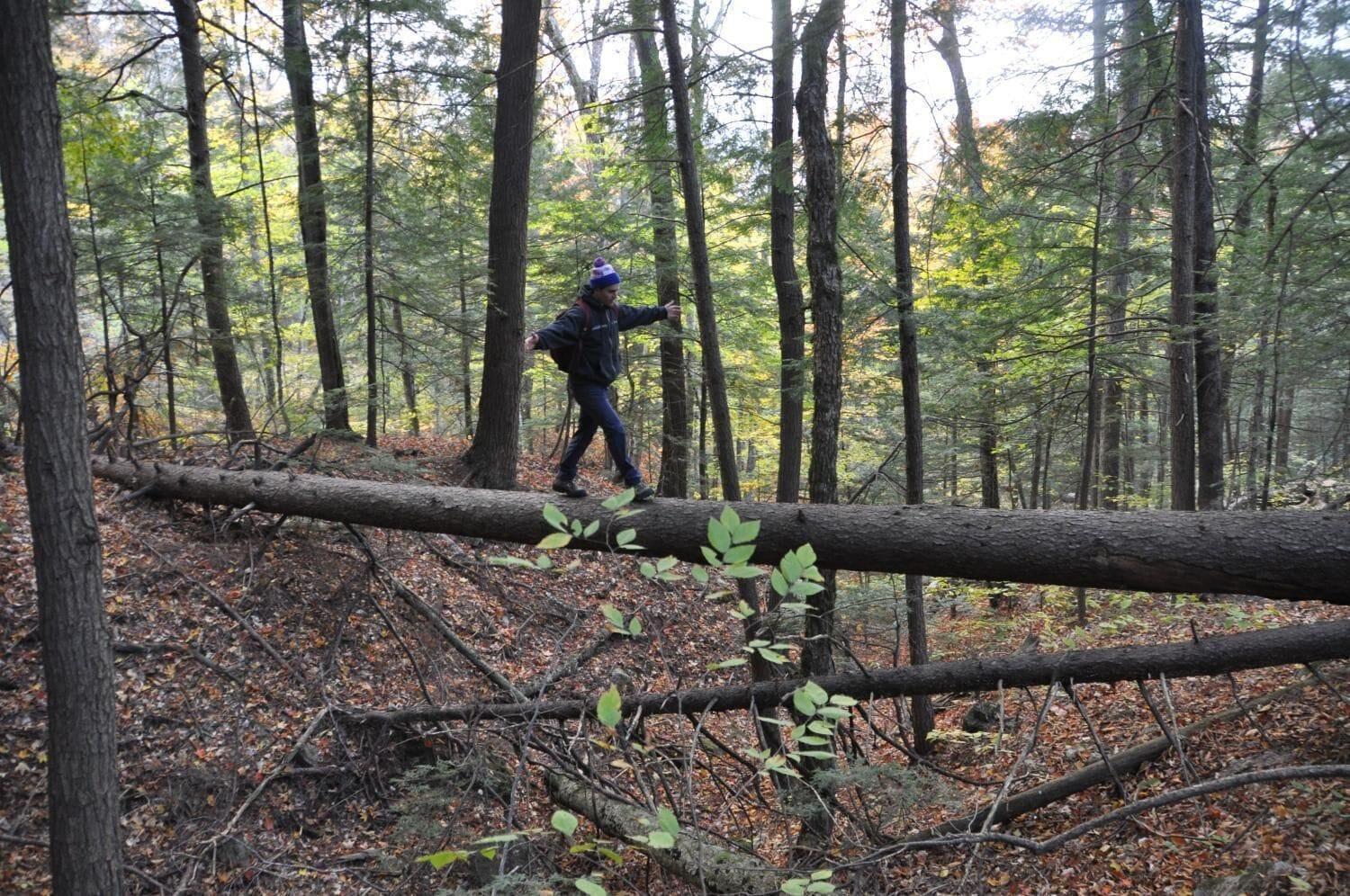 Vista Exterior Attitash Mountain Village