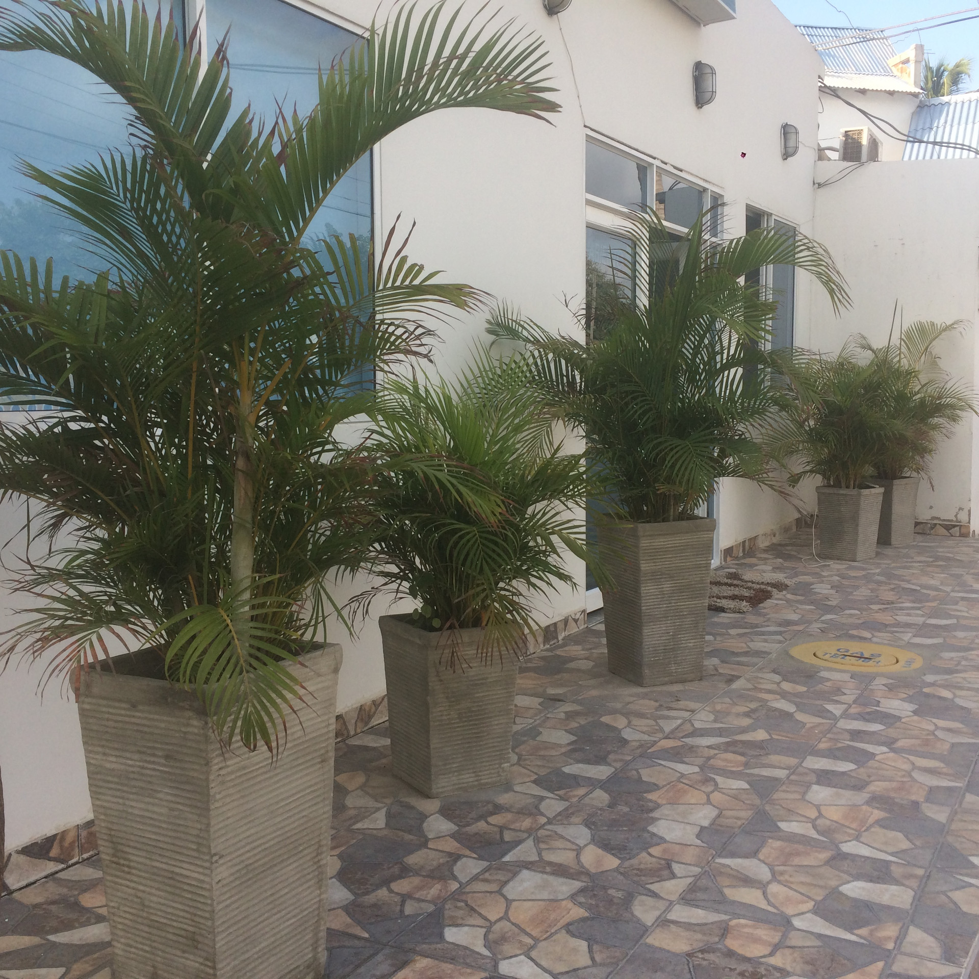 Vista Exterior Hotel Sunset Beach