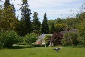 Alojamiento - La Barillerie