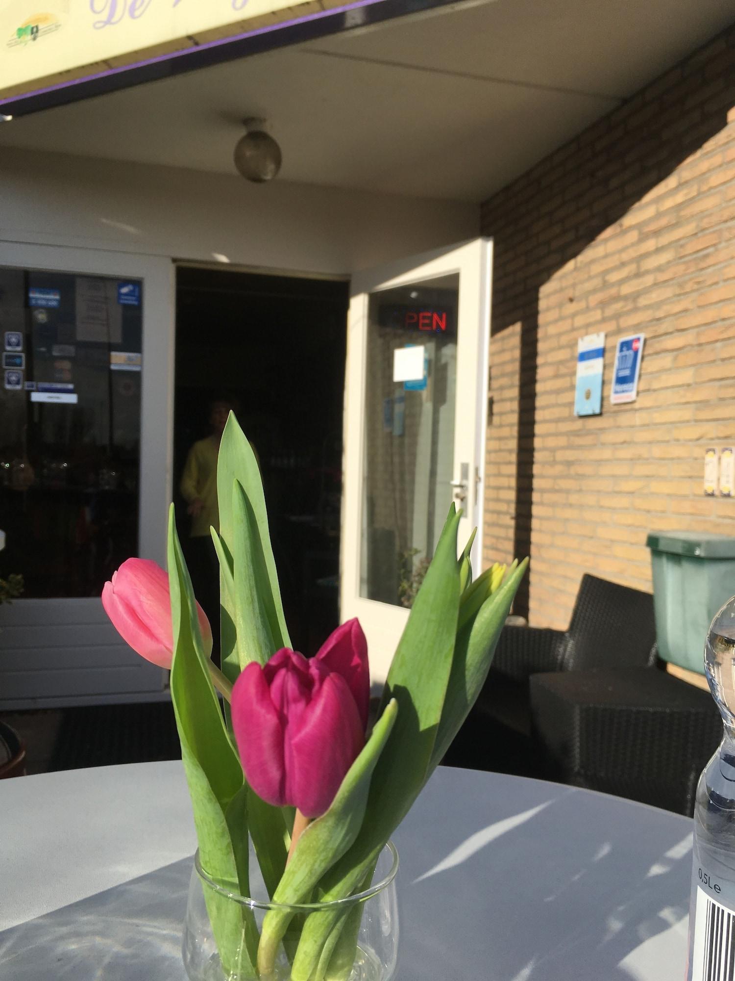 Vista Exterior Hotel De Weyman