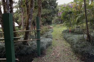 Alojamiento - Las Cruces Biological Station