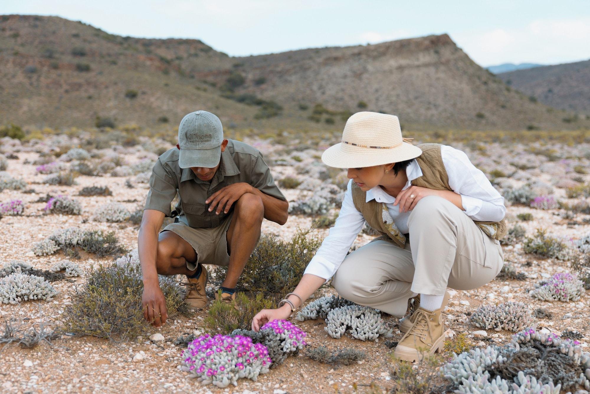 Vista Exterior Sanbona Wildlife Reserve