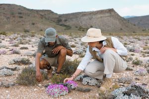 Alojamiento - Sanbona Wildlife Reserve