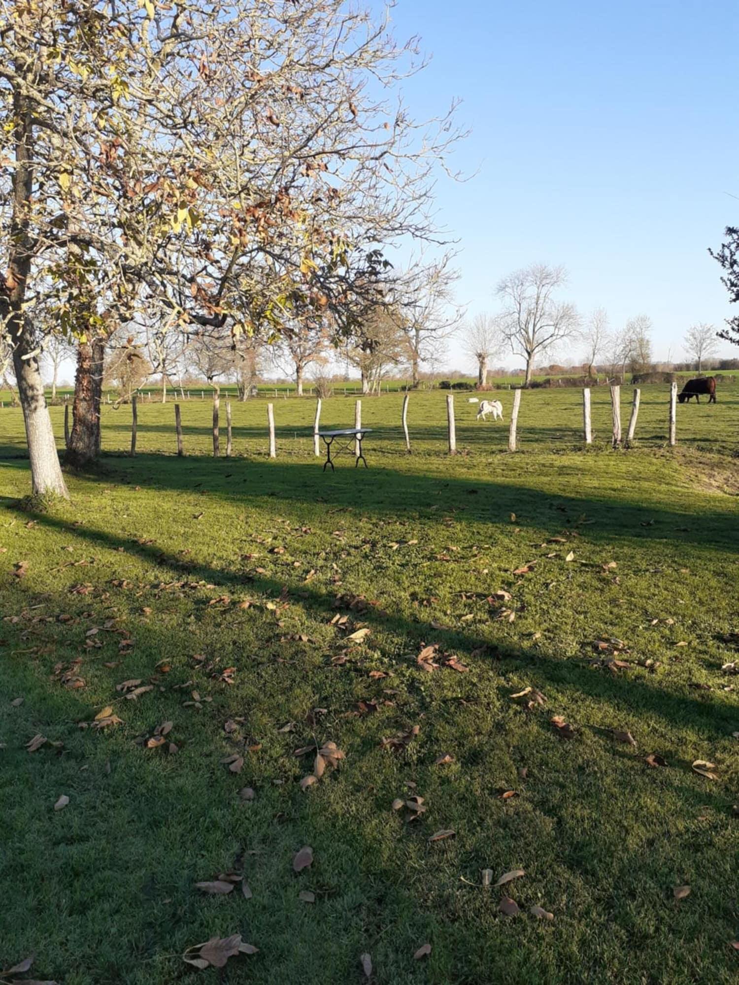 Comodidades del Alojamiento Le Verger - Le Plessis