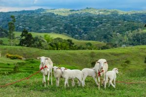 Alojamiento - Eco Hotel Monte Tierra