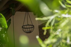 Alojamiento - Safariland Cottages