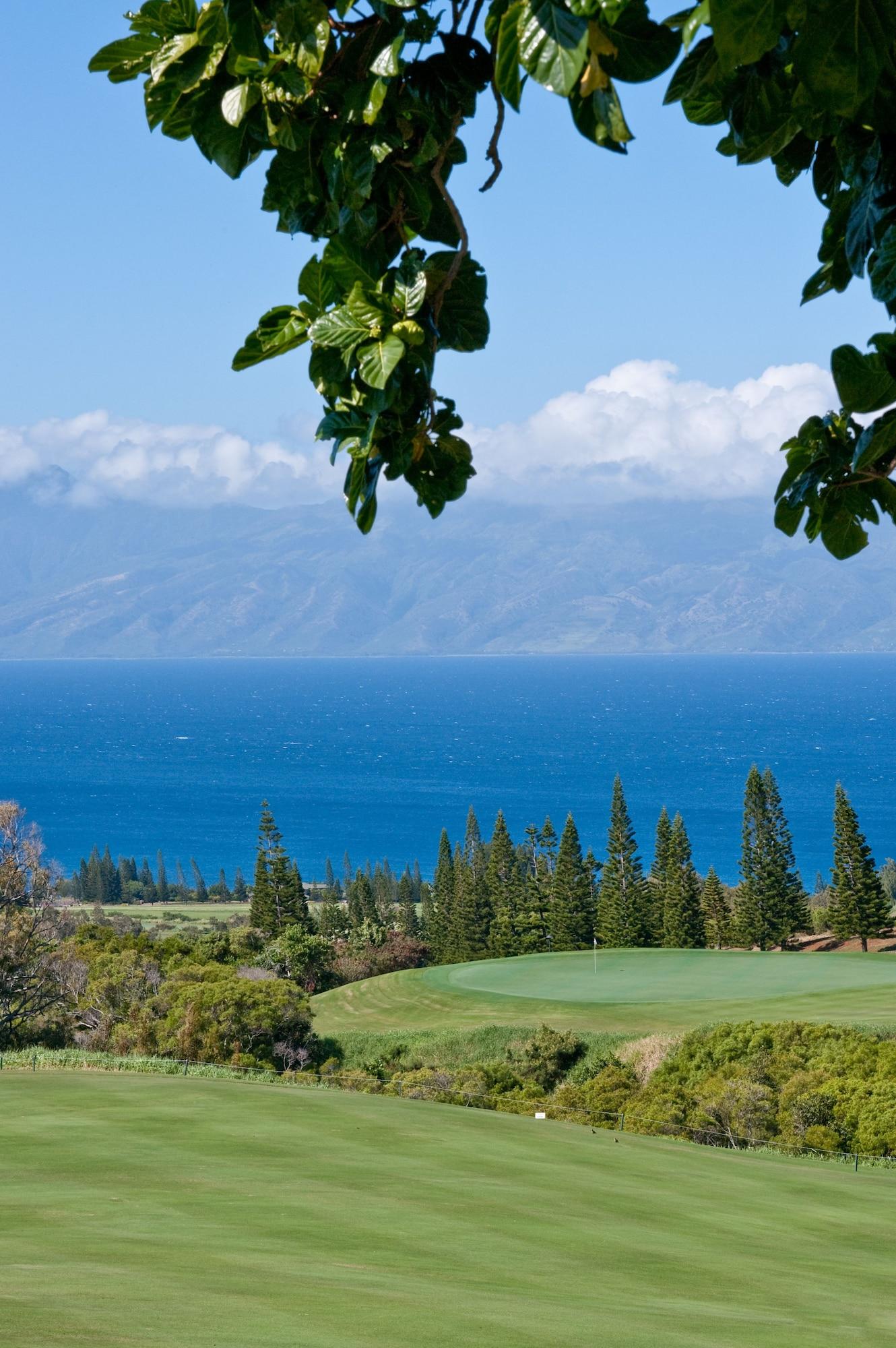 Campo de Golf The Mauian - Boutique Beach Studios on Napili Bay