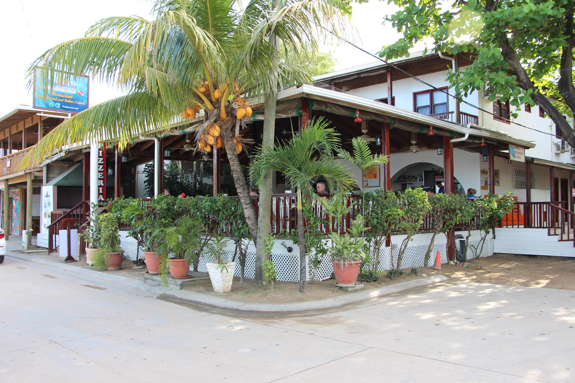 Bar/Salón Splash Inn Dive Resort & Villas