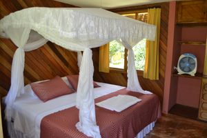 Alojamiento - Shandia Lodge