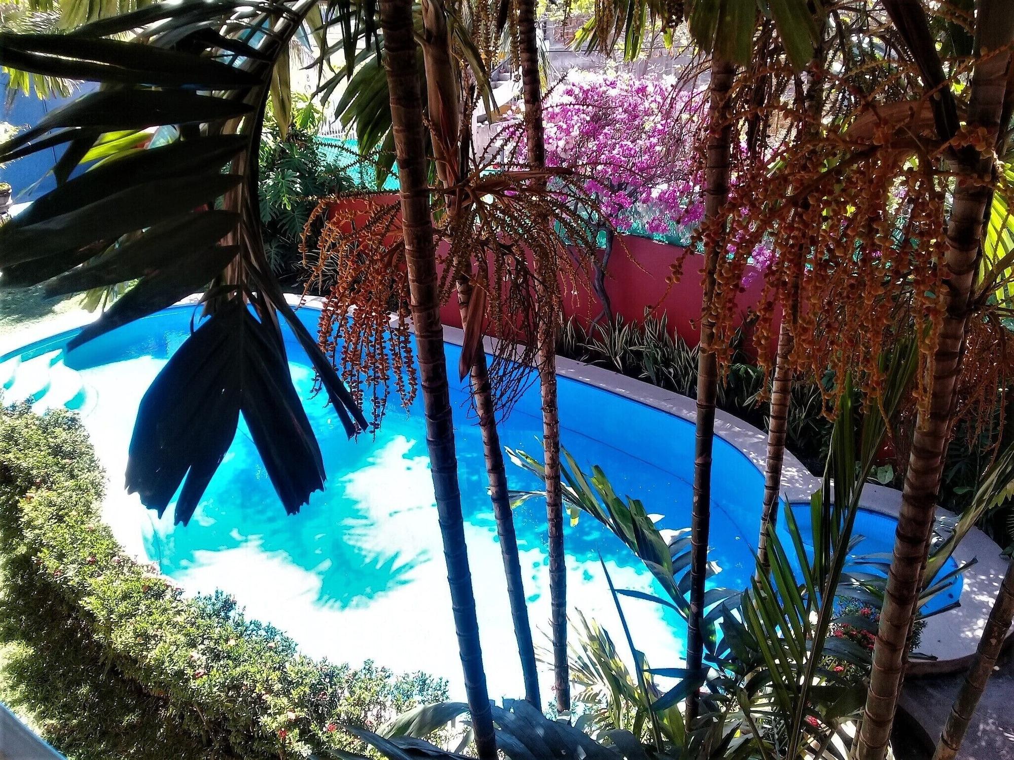 Vista Exterior Casa Misifus