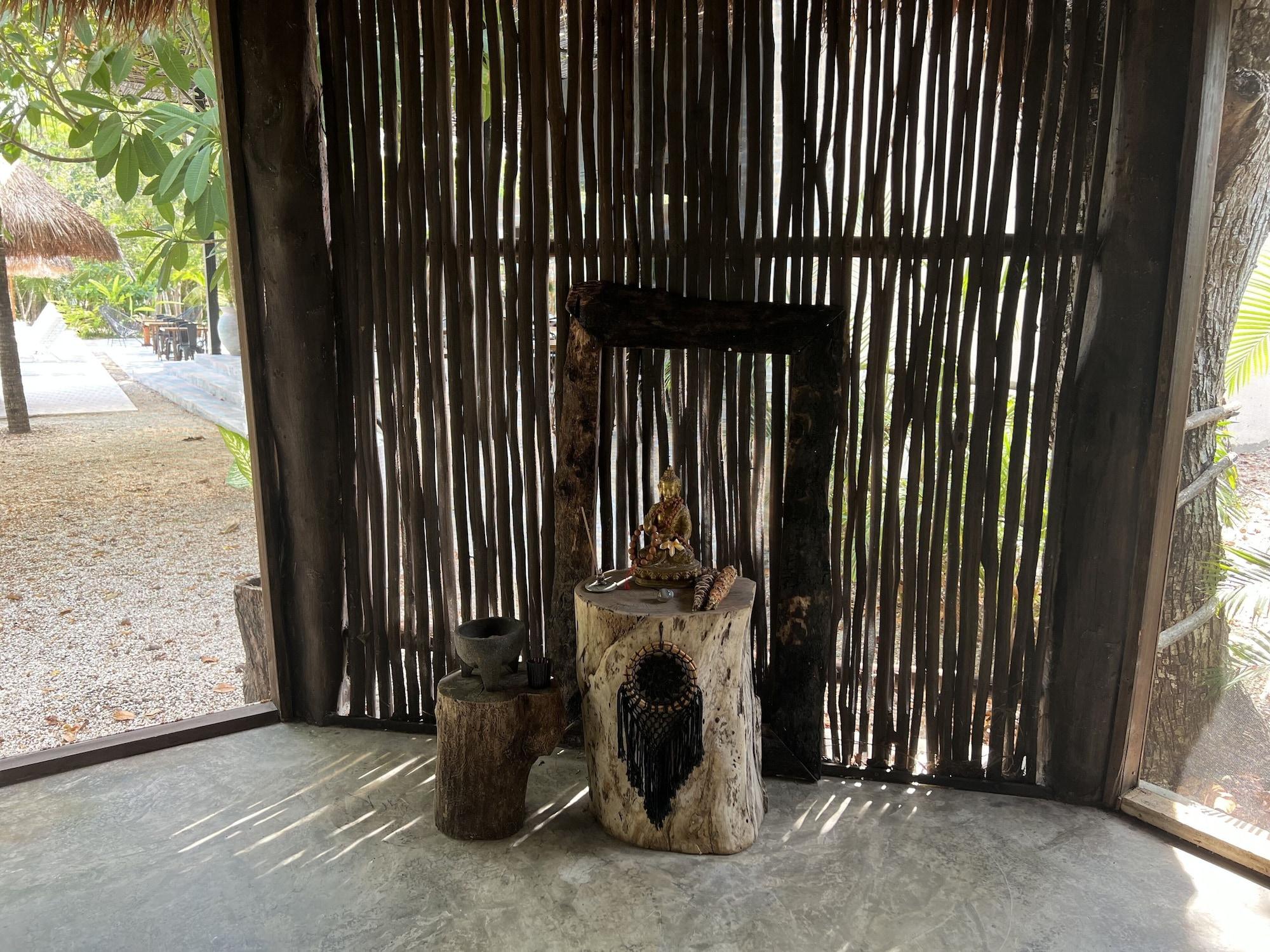 Gimnasio Jungle Lodge Boutique Hotel Adults Only