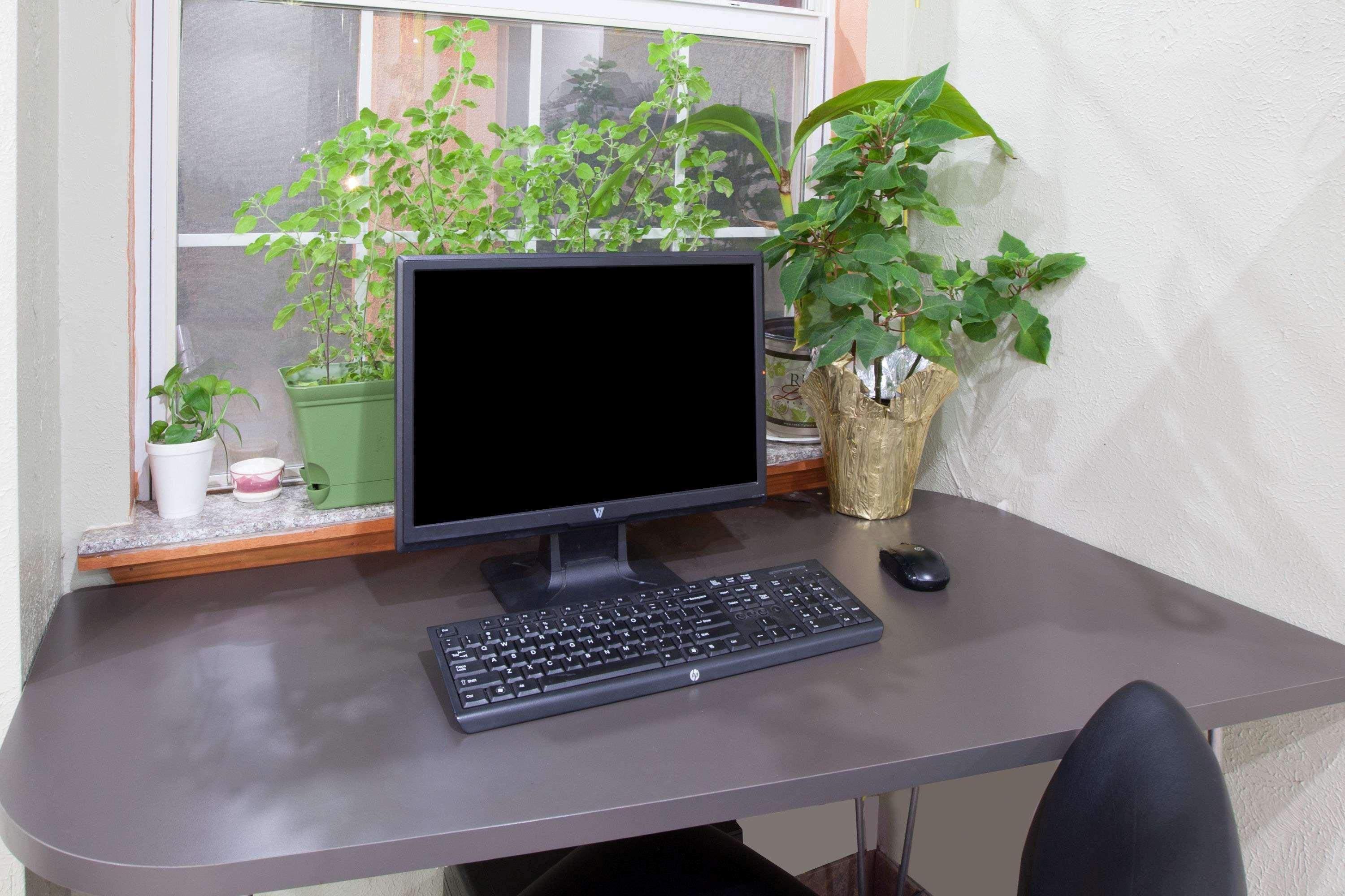 Centro de Negocios Super 8 by Wyndham Chickasha