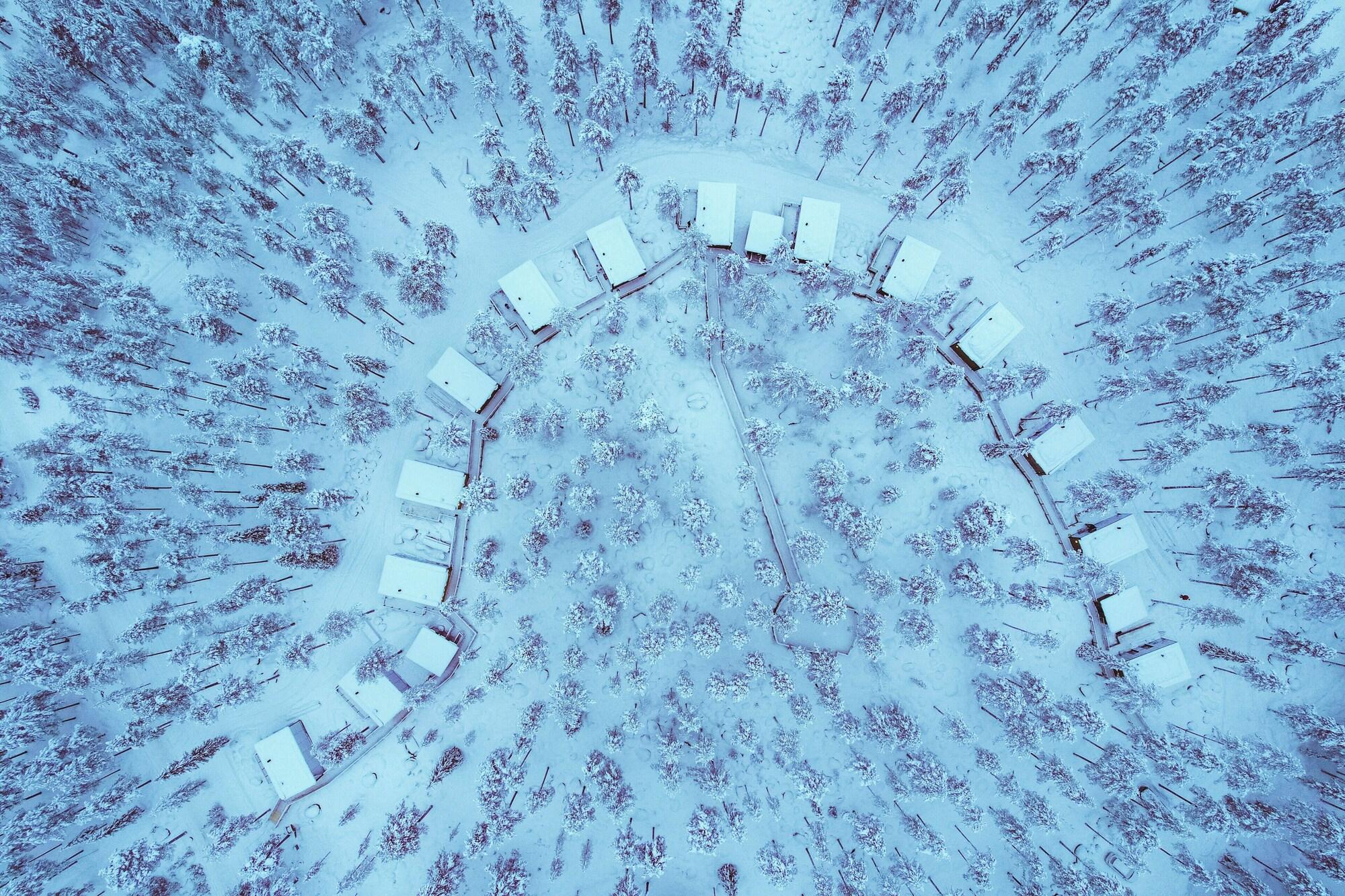 Vista Exterior Invisible Forest Lodge