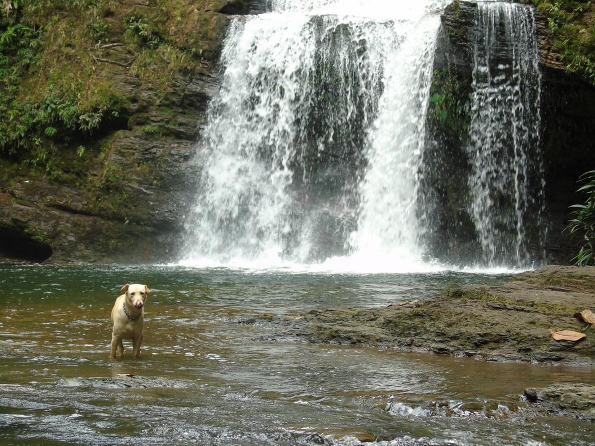 Varios Hostal El Portal Fin del Mundo