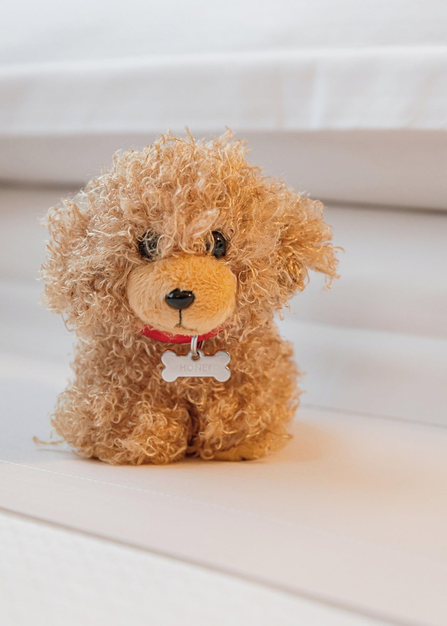 Instalaciones Recreativas Starhotels Michelangelo