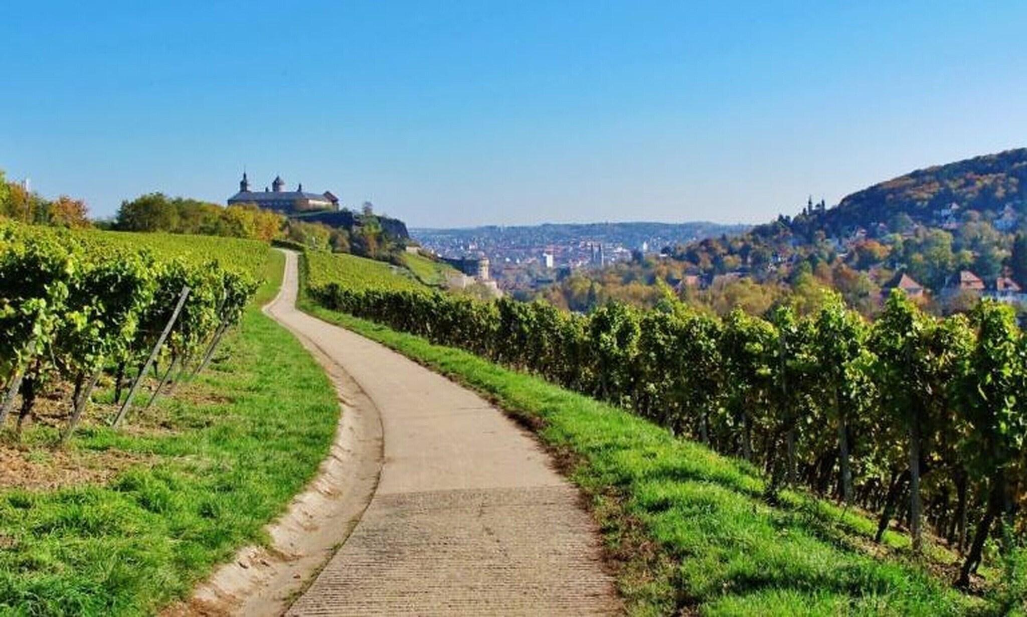 Instalaciones Recreativas Hotel Würzburger Hof