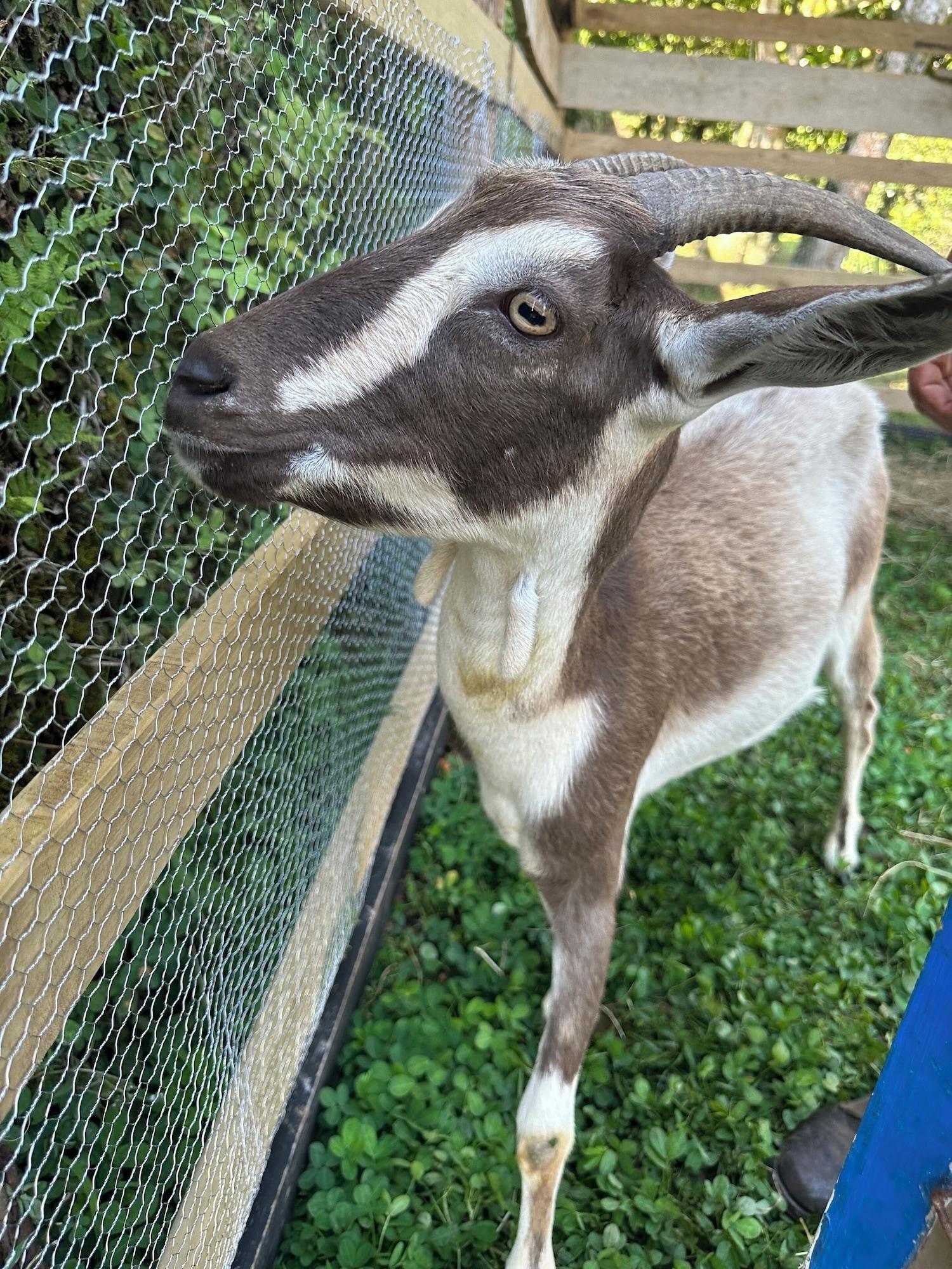 Vista Exterior Granja del Cafe Esteban Jaramillo