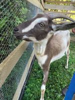 Alojamiento - Granja del Cafe Esteban Jaramillo