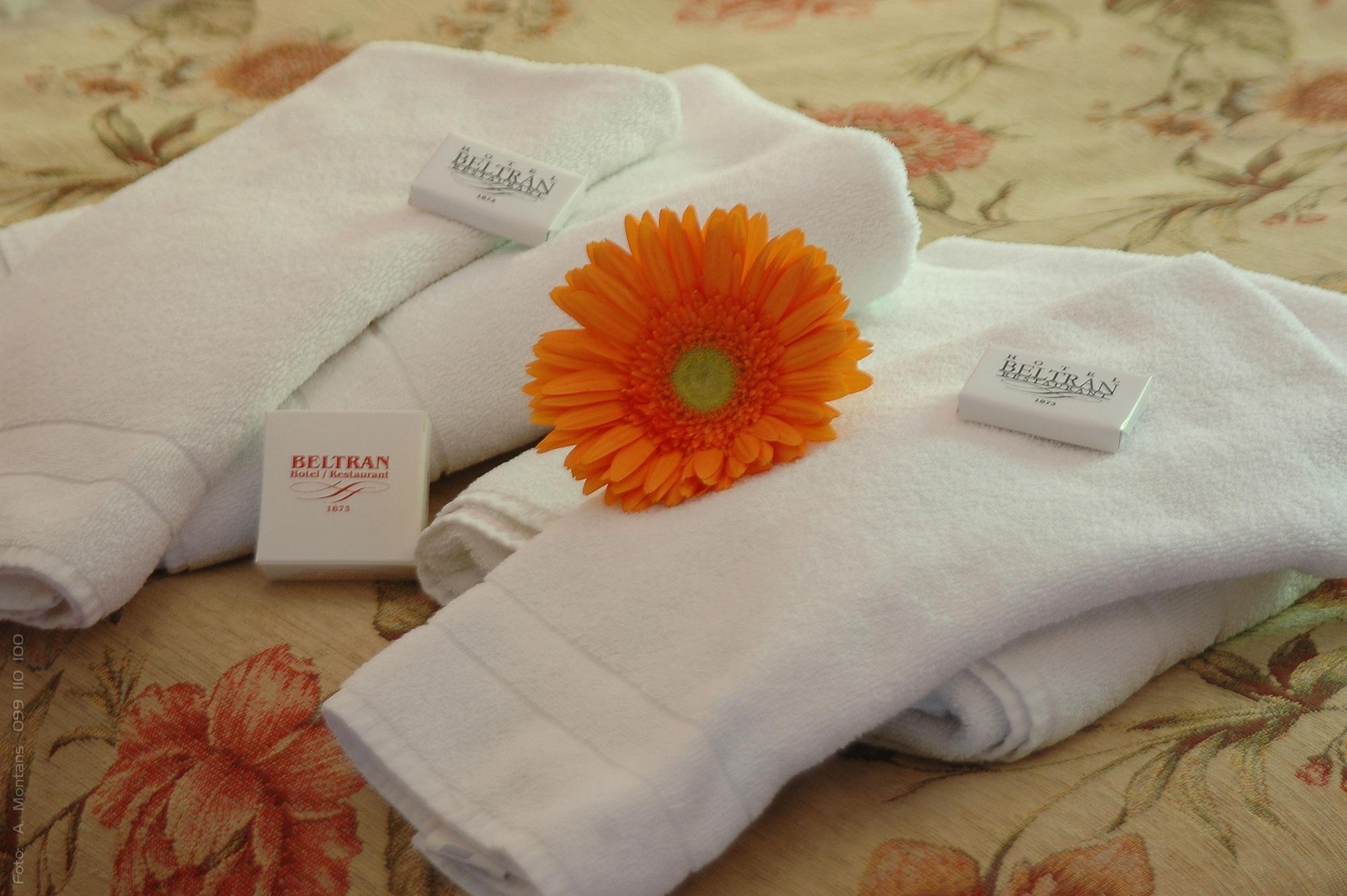 Equipamiento de Habitación Hotel Beltran
