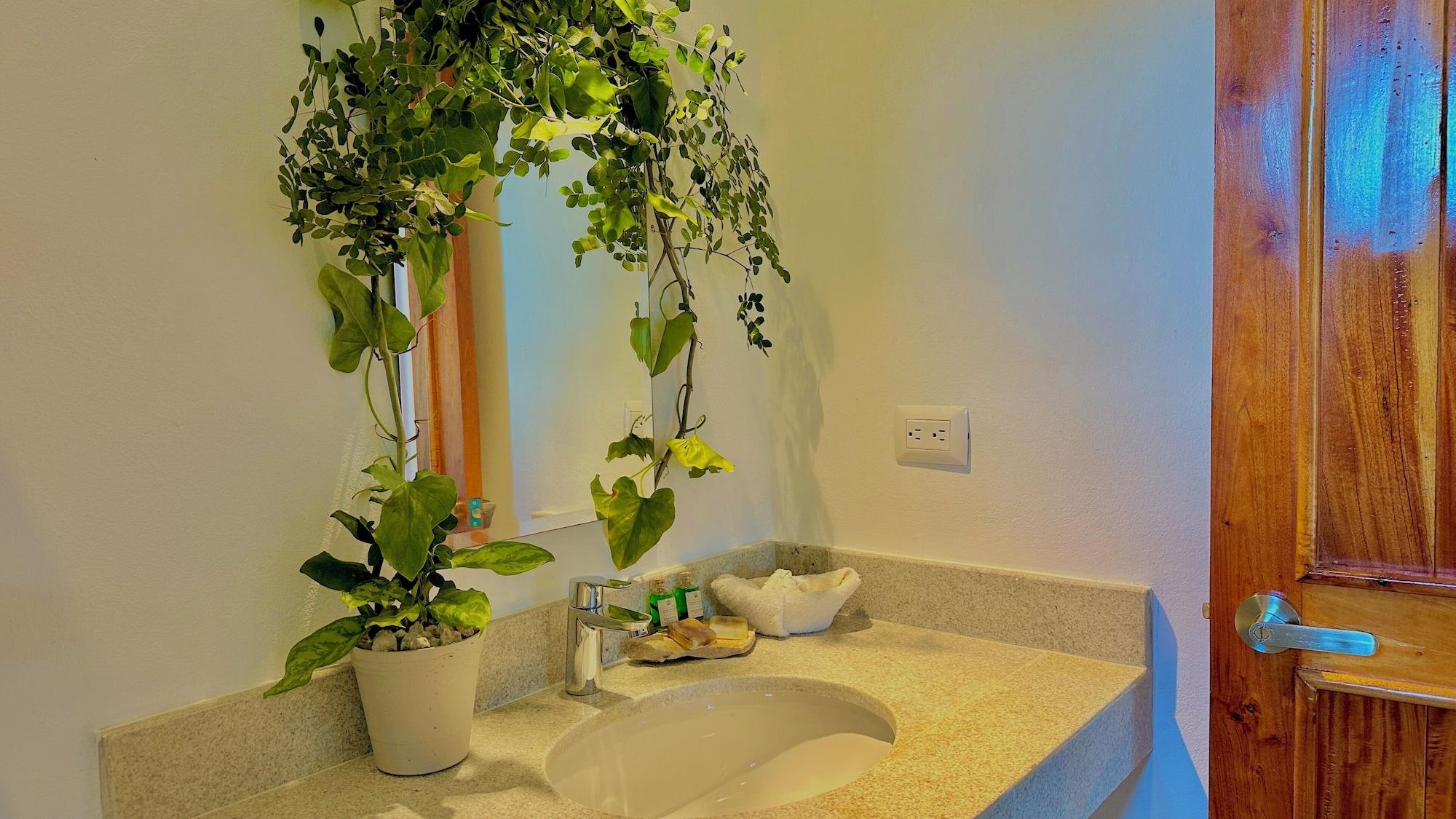 Equipamiento de Habitación Hotel Ich Ha Tulum - Adults Only