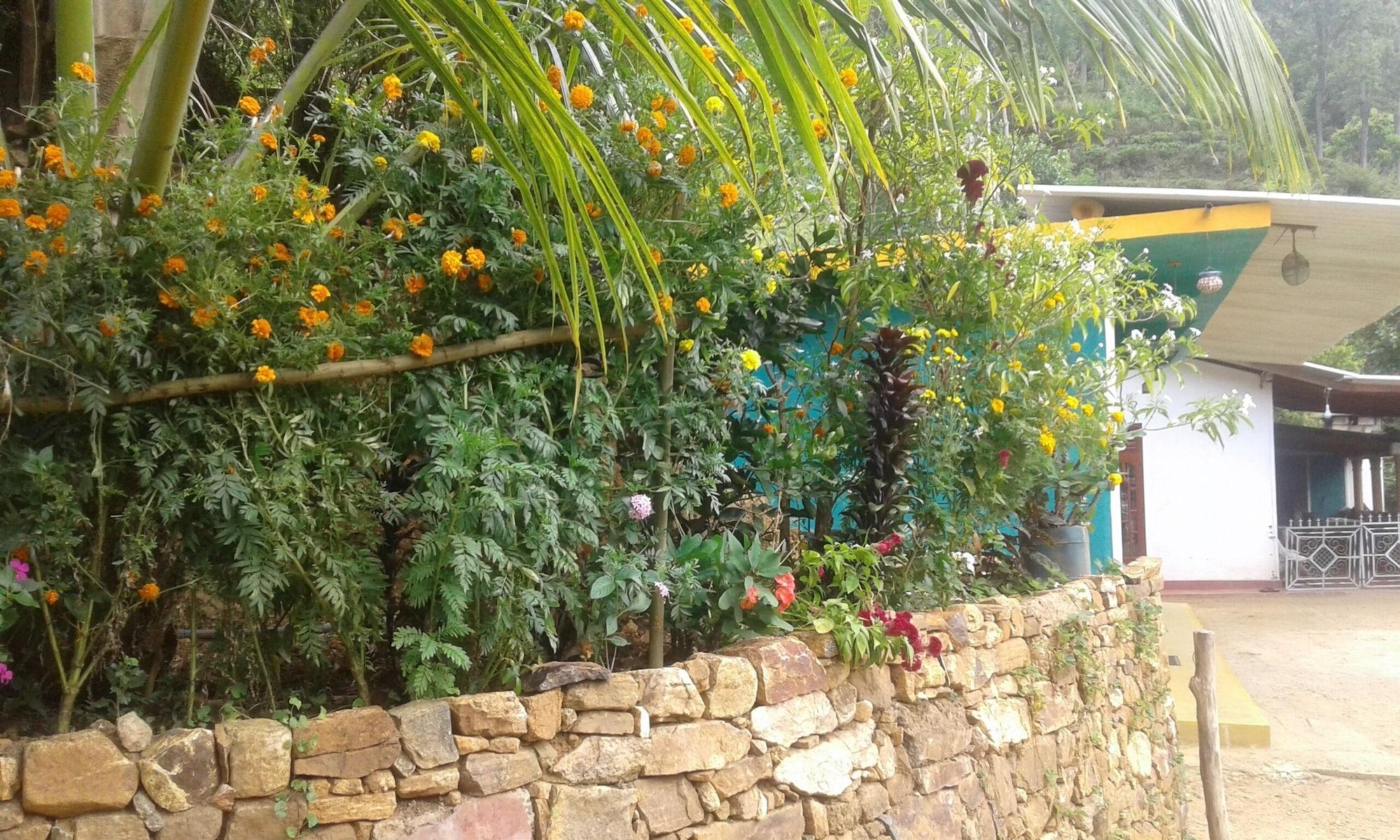 Vista Exterior Nature's Rest