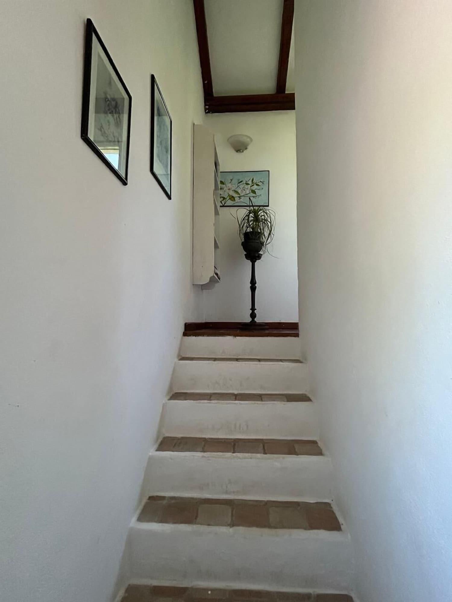 Vista Lobby Lake House Puro