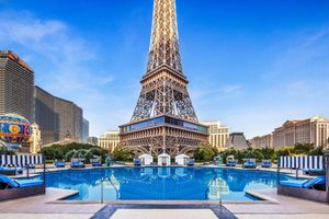 Alojamiento - Paris Las Vegas Resort & Casino