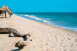 Vuelo - Vuelos a Tumbes