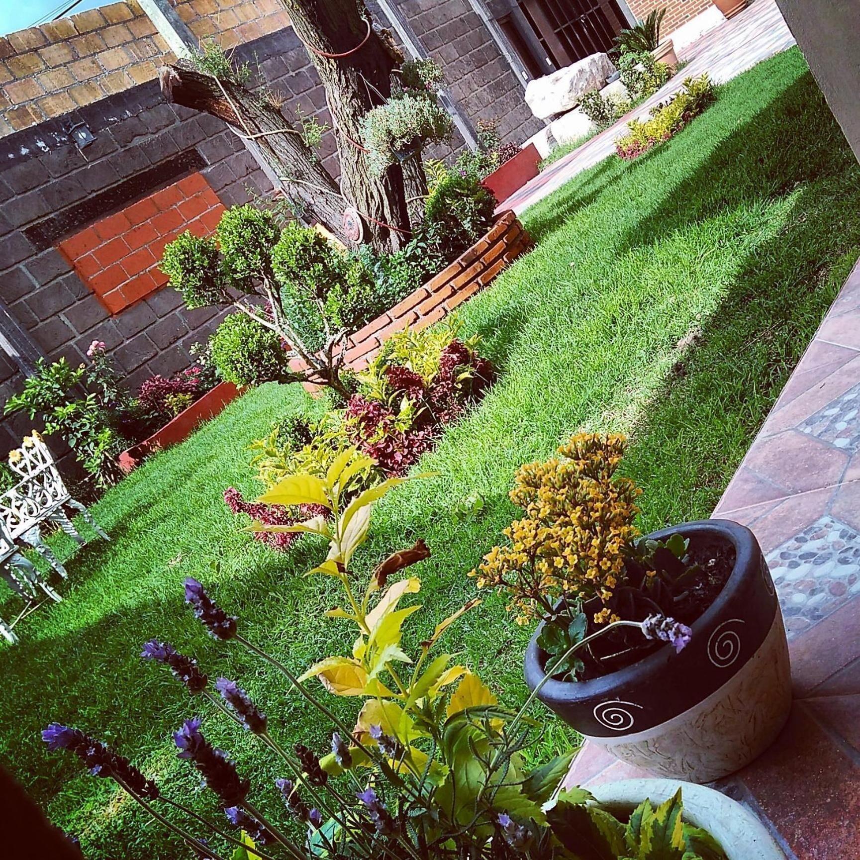 Comodidades del Alojamiento El Sueño de Quetzalcoatl