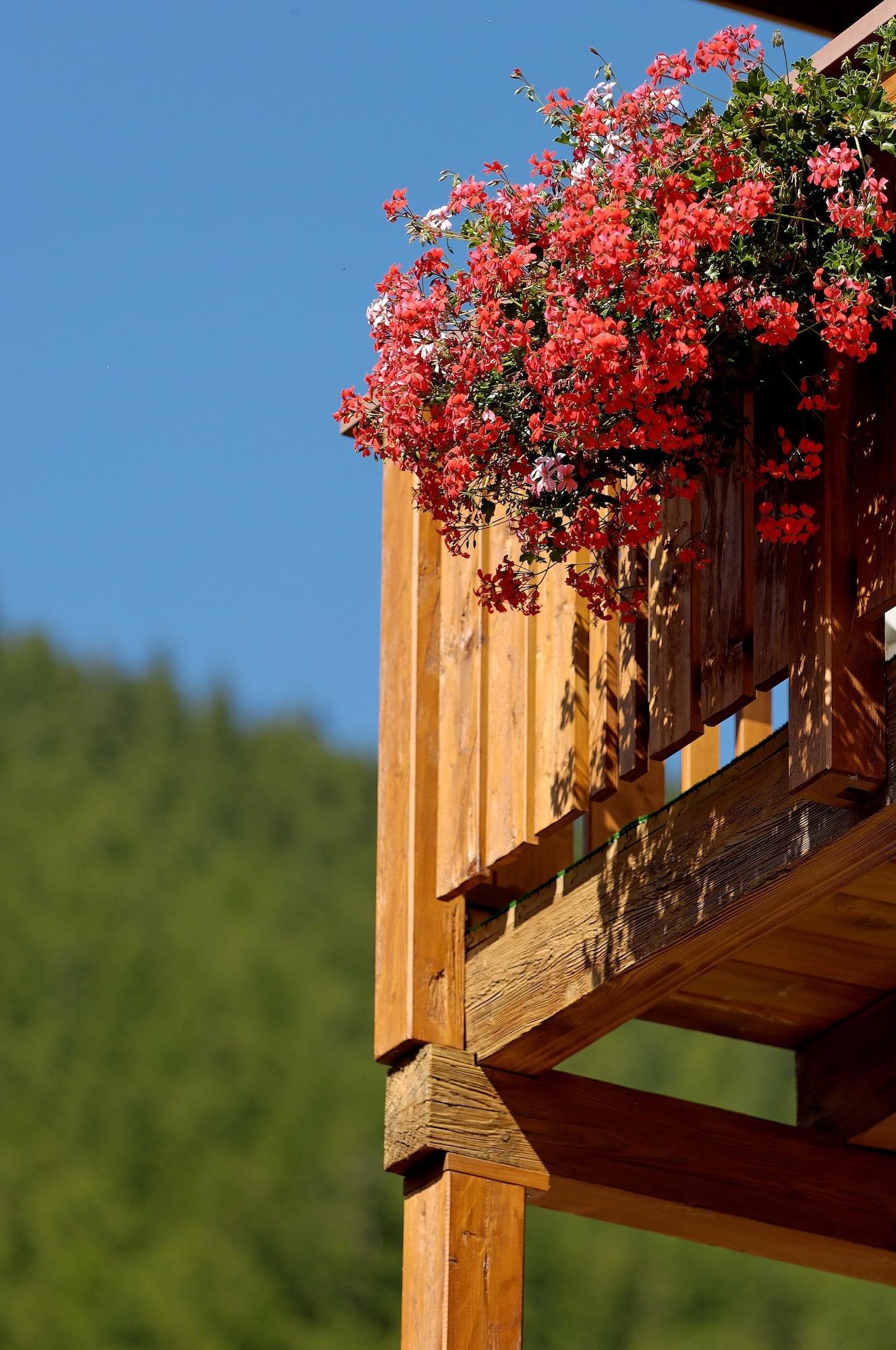 Vista Exterior Parkhotel Saas- Fee