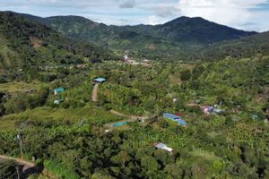 Alojamiento - Monbellis