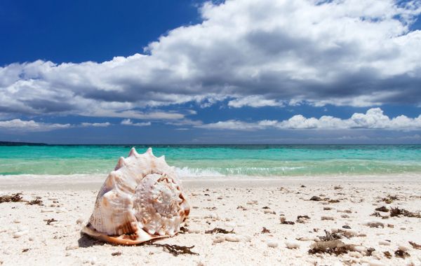 Riu Ventura - All Inclusive